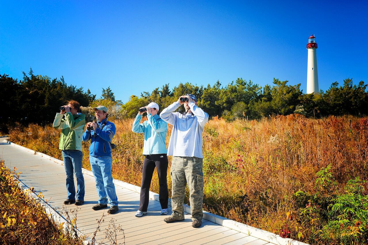 Birders CMP.jpg